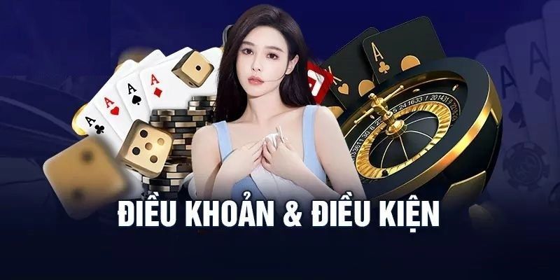 Điều khoản điều kiện là gì?